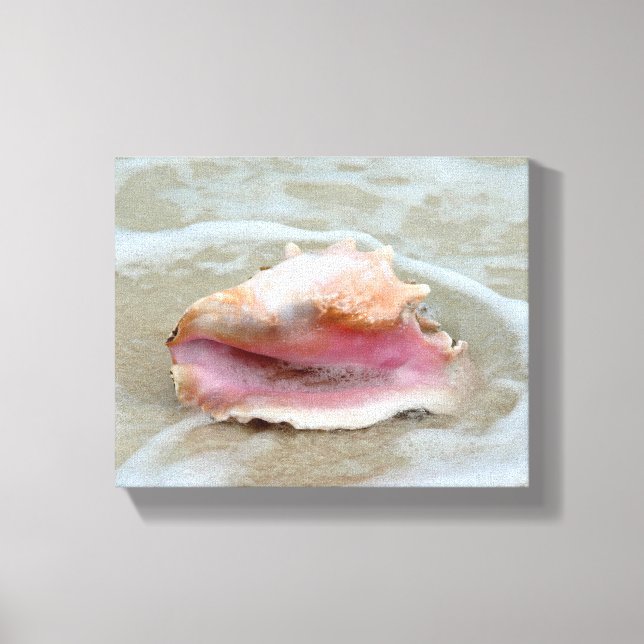 Queen Conch på Beach Canvastryck (Framsida)