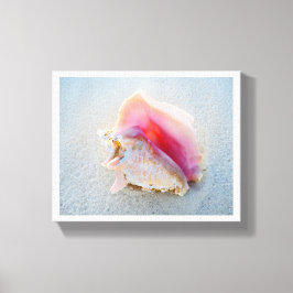 Queen Conch Snäcka på Bahamas Beach Canvastryck