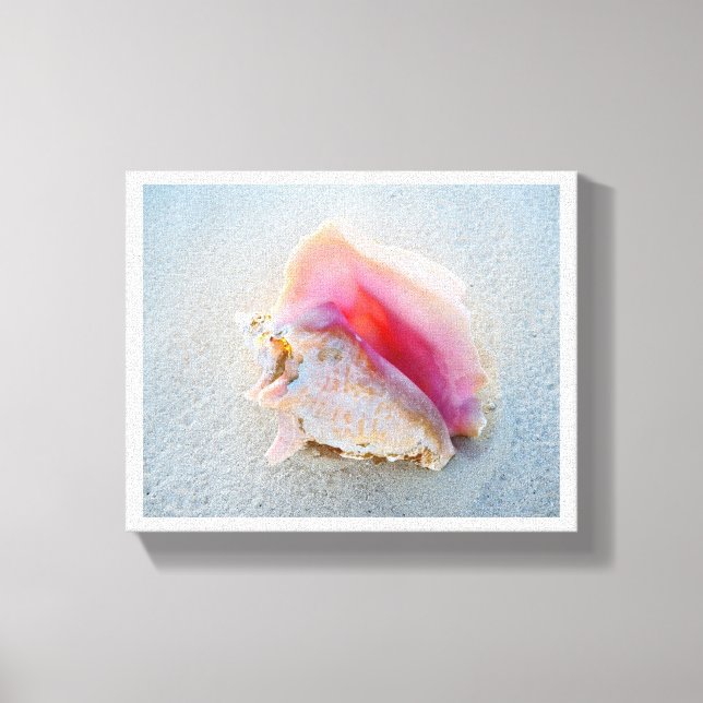 Queen Conch Snäcka på Bahamas Beach Canvastryck (Framsida)