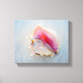 Queen Conch Snäcka på Bahamas Beach Canvastryck