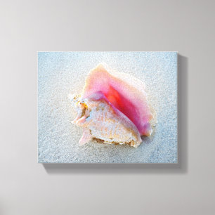 Queen Conch Snäcka på Bahamas Beach Canvastryck