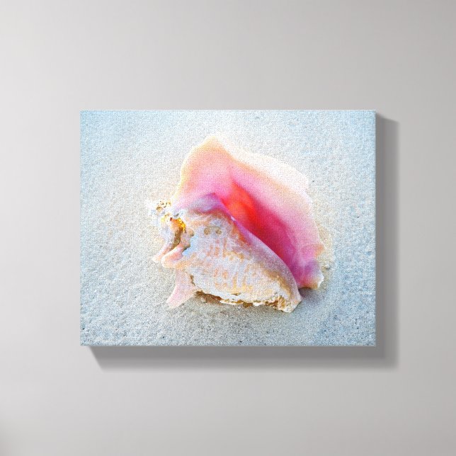 Queen Conch Snäcka på Bahamas Beach Canvastryck (Framsida)