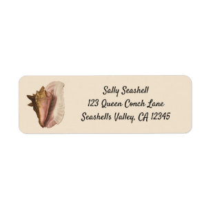Queen Conch Snäcka Seashell, Vintage Marine Life Returadress Etikett