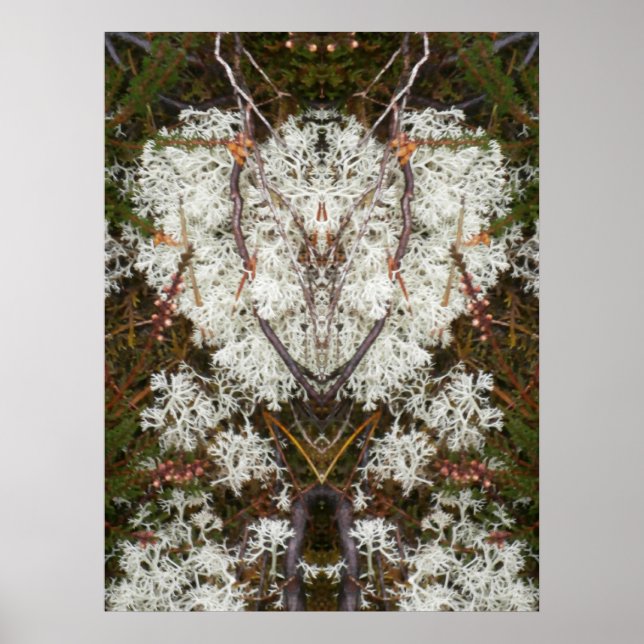 Queen Elizabeth 1st Lichen Poster (Framsidan)