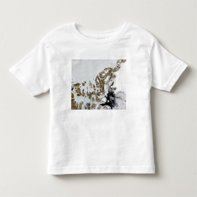 Queen Elizabeth Islands 2 T Shirt (Framsida)