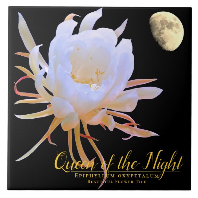 Queen of the Night タイル Kakelplatta (Framsidan)