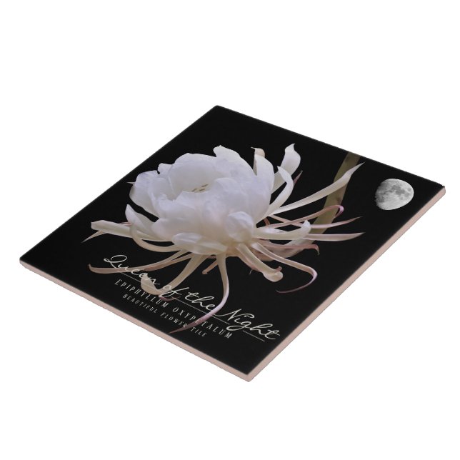 Queen of the Night タイル Kakelplatta (Sidan)