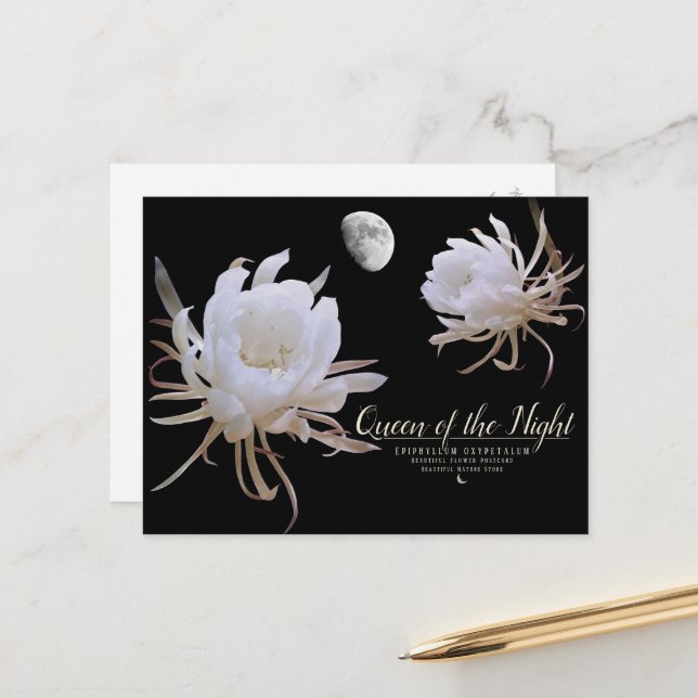 Queen of the Night ポストカード Vykort (Fram/Back In Situ)