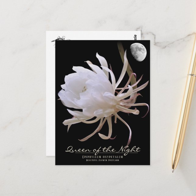Queen of the Night ポストカード Vykort (Fram/Back In Situ)