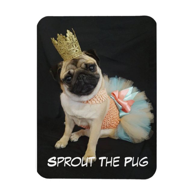 Queen Photo Magnet (Vertikal)