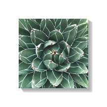 Queen Victoria agave kanvastryck