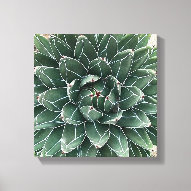 Queen Victoria agave kanvastryck (Framsida)