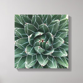 Queen Victoria agave kanvastryck