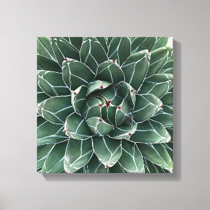 Queen Victoria agave kanvastryck