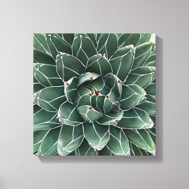 Queen Victoria agave kanvastryck (Framsida)