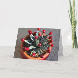 Queen Victoria Agave med Cranbär av DLBaldwin Kort