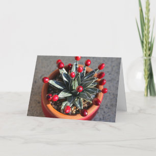 Queen Victoria Agave med Cranbär av DLBaldwin Kort