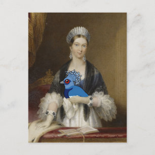 Queen Victoria Crowned Pigeon Vykort