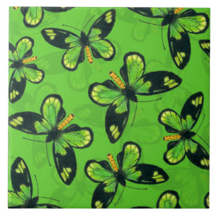 Queen Victoria's birdwing butterfly Kakelplatta