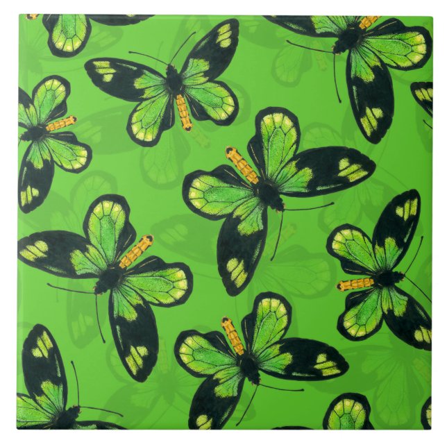 Queen Victoria's birdwing butterfly Kakelplatta (Framsidan)
