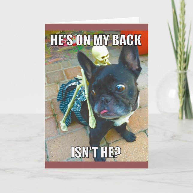 QueenFiFi Halloween kort (Framsida)