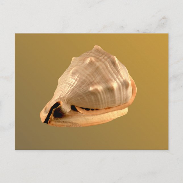 Queens Helmet Vykort (Framsida)