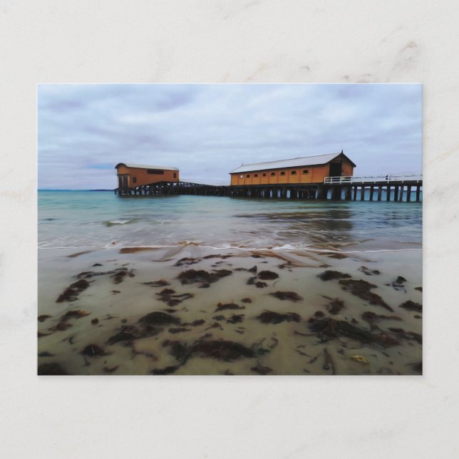 Queenscliff Dreaming Postcard Vykort (Framsida)