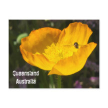 Queensland Australien - Blomma & Bipostkort