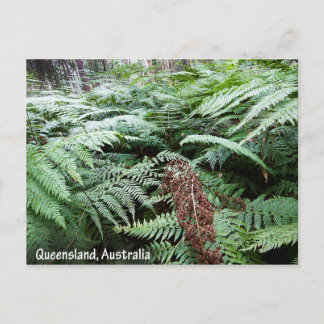 Queensland Australien vykort