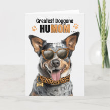 Queensland Heeler Hund Underbarare HuMOM Mors dag