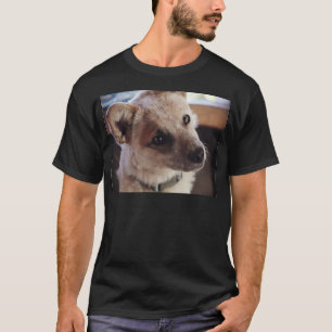 Queensland Heeler valp Ringo Tee