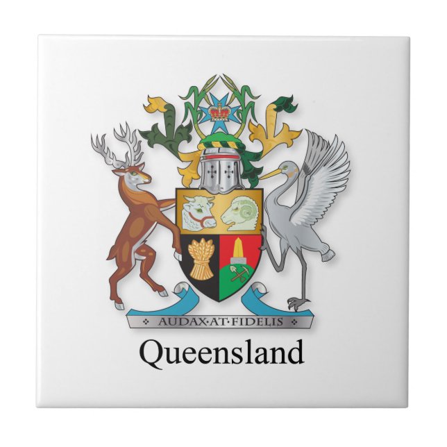 Queensland jackar arm kakelplatta (Framsidan)