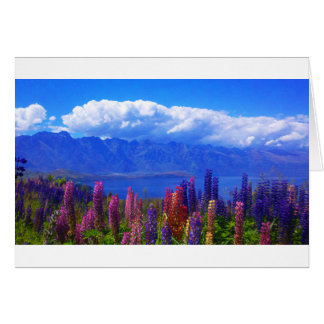 Queenstown New Zealand lupine over Sjö Wakatipu Hälsningskort