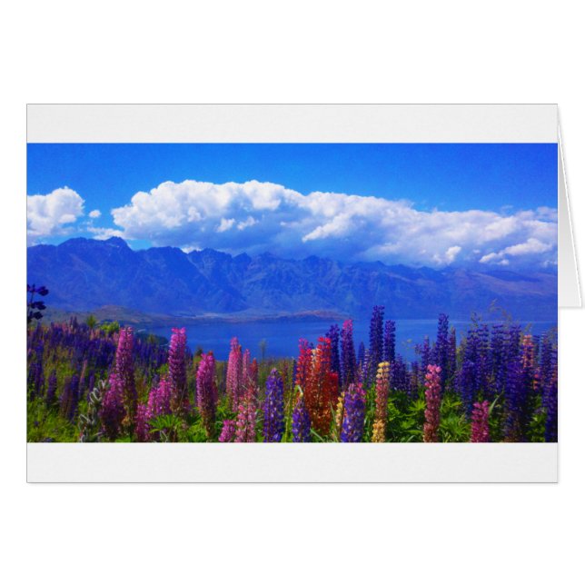 Queenstown New Zealand lupine over Sjö Wakatipu Hälsningskort (Framsidan Horizontal)