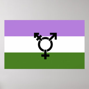 Queer - Könsqueer stolthet Poster