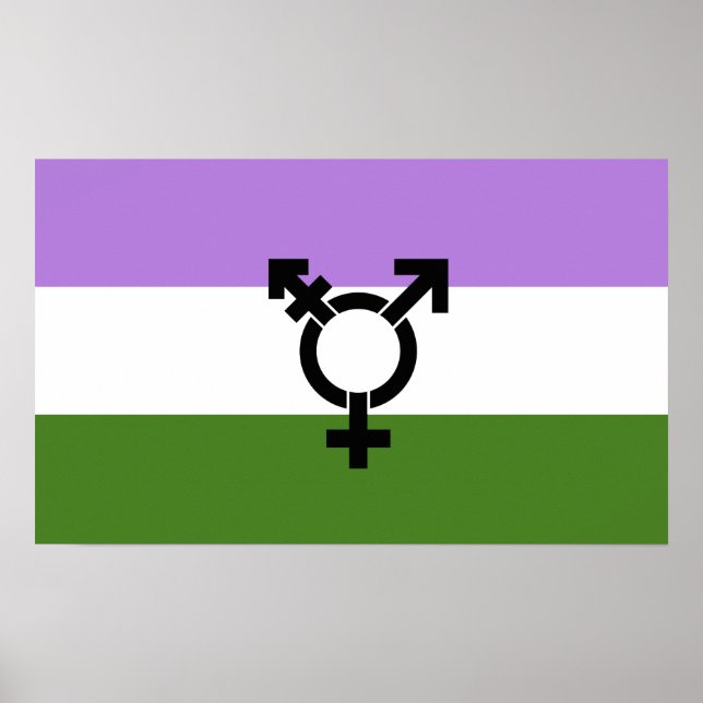 Queer - Könsqueer stolthet Poster (Framsidan)