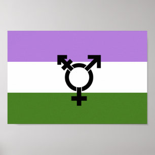 Queer - Könsqueer stolthet Poster