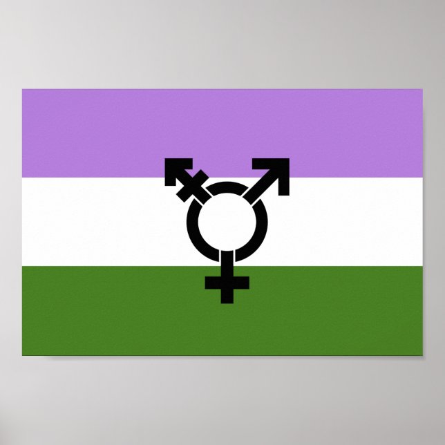 Queer - Könsqueer stolthet Poster (Framsidan)