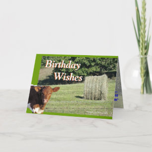 Quella&Hay BdayWishes-skräddarsy Kort