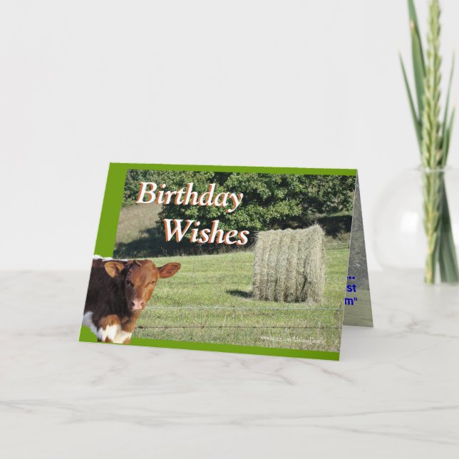 Quella&Hay BdayWishes-skräddarsy Kort (Framsida)