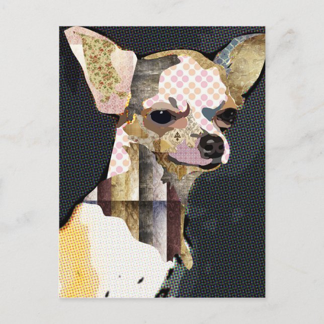 Quem não ama Chiuaua? Vykort (Framsida)