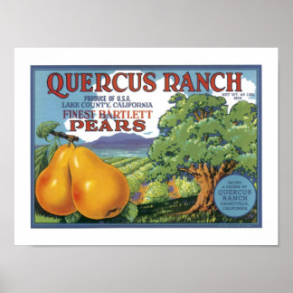 Quercus Ranch Bartlett Pears Poster