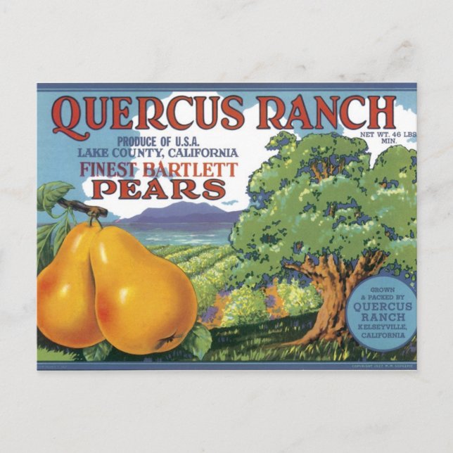 Quercus Ranch Bartlett Pears Vykort (Framsida)