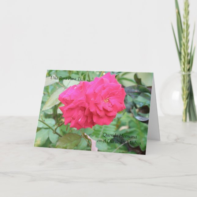 Querida Hermana Diameter de Las Madres Kort (Framsida)