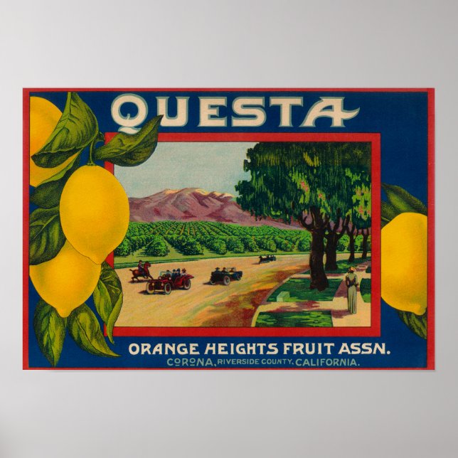Questa Lemon LabelCorona, CA Poster (Framsidan)