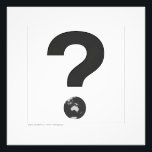 QUESTION MARK 03  FOTOTRYCK<br><div class="desc">is a meme/visual metaphor that comments on the major concern that the planet earth represents for almost everyone. It reminds of the possible most important question we can collective ask today.</div>