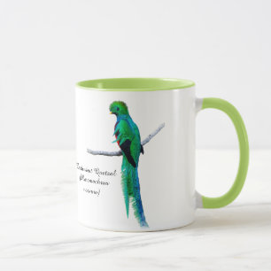 Quetzal teckning Bird-illustration Vattenfärg Mugg
