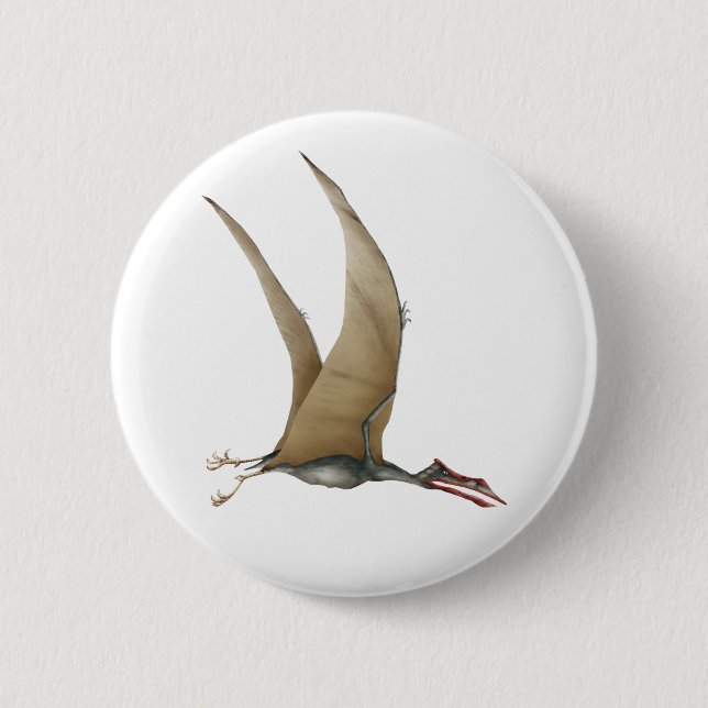 Quetzalcoatlus Knapp (Framsida)