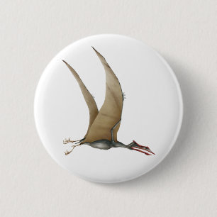 Quetzalcoatlus Knapp