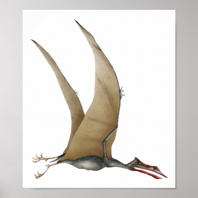 Quetzalcoatlus Poster (Framsidan)